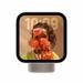 Apple Smart Display HomeView, Starlight-1