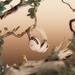 Bose Quietcomfort Ultra Headphones 2nd Gen, Driftwood Sand-8