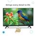 BPL 109 cm (43 inch) FHD Onkyo Home Theatre Smart LED Google TV with Dolby Audio, 43F-E5340-4