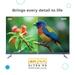 BPL 165 cm (65 inch) Home Theatre HARMAN QLED MAX TV with Dolby Vision & Atmos, 65UE5530-9