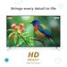 BPL 32 HD Ready Smart Home Theatre TV With Sound By Onkyo, THX Certified, Dolby Audio, Google TV, 32HE5341-4 BPL 32 HD Ready Smart Home Theatre TV With Sound By Onkyo, THX Certified, Dolby Audio, Google TV, 32HE5341-4