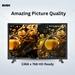 Bush 60 cm (24 inch) HD Normal LED TV, Black, JMK24-3
