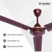 Candes Magic 1200 mm Anti-Dust Ceiling Fan, Brown-3 Candes Magic 1200 mm Anti-Dust Ceiling Fan, Brown-3