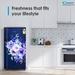 Candy 175 L 2 Star Direct Cool Single Door Refrigerator, Marine Arden, CSD1852MA-7 Candy 175 L 2 Star Direct Cool Single Door Refrigerator, Marine Arden, CSD1852MA-7