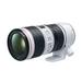 Canon L Series EF 70-200 mm Telephoto Lens-1 Canon L Series EF 70-200 mm Telephoto Lens-1