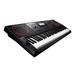 Casio CT-X9000IN 61 Keys Music Standard Keyboards, Black-2 Casio CT-X9000IN 61 Keys Music Standard Keyboards, Black-2