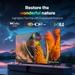 Coocaa Y74 Pro 108 cm (43 inch) QLED Ultra HD (4K) Smart Google TV (43Y74 Pro)-6