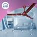 Crompton Hill Briz 1200 mm Ceiling Fan, 2 Years Warranty, Brown, Pack of 1-5 Crompton Hill Briz 1200 mm Ceiling Fan, 2 Years Warranty, Brown, Pack of 1-5