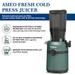 Crompton Ameo Fresh Cold Press Juicer 200 W, Black and Emerald-13