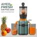 Crompton Ameo Fresh Cold Press Juicer 200 W, Black and Emerald-3
