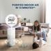 Eureka Forbes Smart Air Purifier 355, True HEPA H13 & Plasma Ion, Wi-Fi Enabled, 4-Stage Filtration with 360 degree Air Flow, Removes 99.97 percent PM2.5, Dust & Odour in 10 Mins, Covers up to 480 Sq.Ft (Ideal for Living Rooms)-3