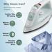 Havells Elece Steam Iron 1200 W, Pista Green-5
