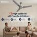 Havells Thrill Decor 120 cm (1200 mm) Ceiling Fan, Stone Grey-4