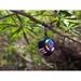 HP S300 Wireless Bluetooth Speaker, Blueetooth v5.3, Built in MIC, Black-4