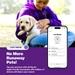 JioTag Air Red for iOS, Apple Find My Network Item Finder, Worldwide Tracking for Keys, Wallets, Luggage, Pets, Gadgets and more, 1+1 Year Battery, No SIM Needed, 120 db Sound, Bluetooth v5.3-6