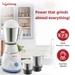 Lifelong Maxo LLMG21 500 Watts, 3 Jar Mixer Grinder-2
