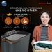Lloyd 8 Kg Top Loading Semi Automatic Washing Machine, Elante GLWMS80AVGEL-3