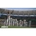 PS5 Cricket 26-10