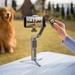 Osmo Mobile 8P Standard Combo Mobile Gimbal-2