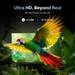 Philips 138 cm (55 inches), 4K Ultra HD QLED Smart QD-Mini LED Google TV, Black, 55MLED610/94-7 Philips 138 cm (55 inches), 4K Ultra HD QLED Smart QD-Mini LED Google TV, Black, 55MLED610/94-7