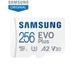 Samsung Evo Plus 256 GB microSD Memory Card (MB-MC256SA/IN)-1