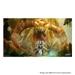 Ratchet and Clank - Rift Apart PS5 Game (Standard Edition)-8