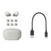 Sony WF1000XM5 TWS Earbuds with Up to 24 Hours Battery Life and Quick Charge, Active Noise Cancellation, Sliver-12