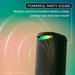 Sony SRS-XV500 X-Series Wireless Portable Bluetooth Party Speaker (IPX4 Splash-Proof with 25 Hrs Battery, Guitar / Karaoke Input, Quick Charge, Built-in Carrying Handle and Ambient Lights)-2 Sony SRS-XV500 X-Series Wireless Portable Bluetooth Party Speaker (IPX4 Splash-Proof with 25 Hrs Battery, Guitar / Karaoke Input, Quick Charge, Built-in Carrying Handle and Ambient Lights)-2