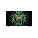 TCL 190 cm (75 inch) QD-Mini LED Google TV, 75C6K, Black-2 TCL 190 cm (75 inch) QD-Mini LED Google TV, 75C6K, Black-2