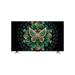 TCL 190 cm (75 inch) QD-Mini LED Google TV, 75C6K, Black-2 TCL 190 cm (75 inch) QD-Mini LED Google TV, 75C6K, Black-2