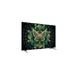 TCL 190 cm (75 inch) QD-Mini LED Google TV, 75C6K, Black-3 TCL 190 cm (75 inch) QD-Mini LED Google TV, 75C6K, Black-3