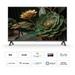 TCL 81.28 cm (32 inch) HD QLED Google TV, 32V4C, Black-2 TCL 81.28 cm (32 inch) HD QLED Google TV, 32V4C, Black-2