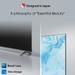 Toshiba 81.3 cm (32 Inch) QLED HD TV, 32E38RP-14