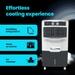 Voltas Alfa 45L Personal Cooler, White/Grey-4 Voltas Alfa 45L Personal Cooler, White/Grey-4