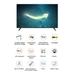 Redmi 109.22 cm (43 inch) Smart Fire TV 4K, F Series-17