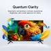Xiaomi 81.28 cm (32 inch) HD Ready Smart QLED TV, G Series, ELA6580IN, 2025 Launch-7 Xiaomi 81.28 cm (32 inch) HD Ready Smart QLED TV, G Series, ELA6580IN, 2025 Launch-7