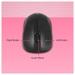 Zebronics Zeb-Companion 107 Wireless Keyboard and Mouse Combo with nano receiver, 2.4 Ghz, 10 m range, 1200 DPI-5